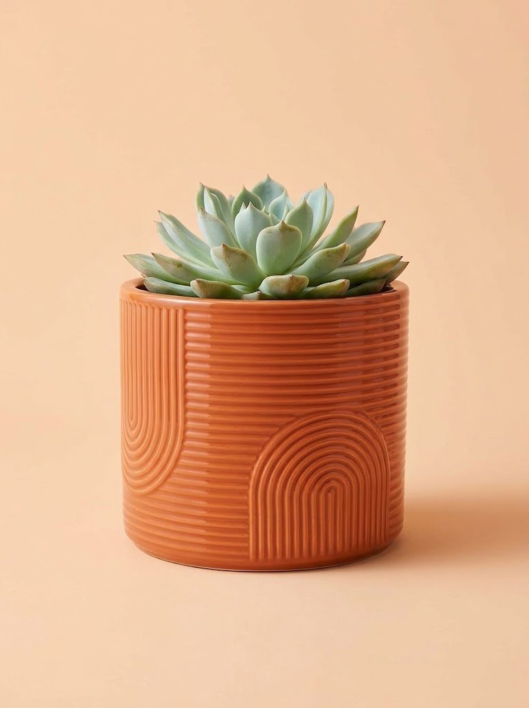 A glossy burnt-orange cylindrical ceramic planter pot with textured concentric arches and horizontal ribs, holding a pale green succulent against a peach background.